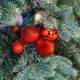 4. DECORATIVE PLASTIC BAUBLE SAFE 6 PCS 80MM RED