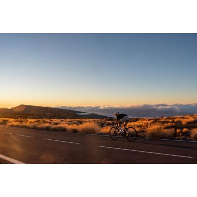 3. Rogelli men's SIGNATURE shorts beige 3XL