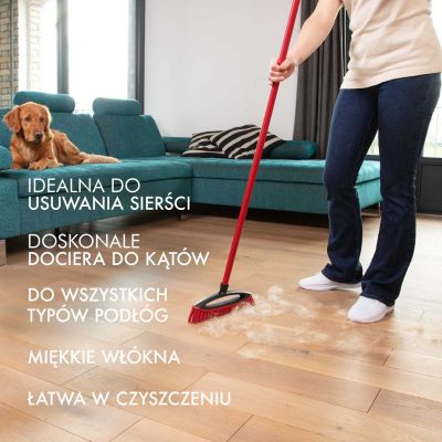 10. Vileda Always Clean PET PRO Hair and Fur Sweeping Brush