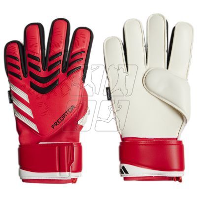 adidas Predator GL MTC FS M JH3802 goalkeeper gloves