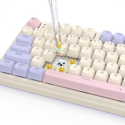 2. REDRAGON EISA 100 K768VI-WL keyboard