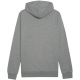 4. Puma Team Goal Casuals Hoody M 658618 33