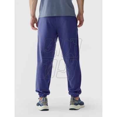 4. Sweatpants 4F M 4FWAW24TTROM1277-31S