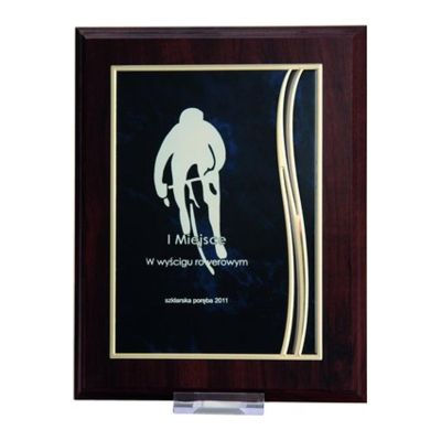 9. Plastic diploma with an engraved metal plate