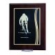 9. Plastic diploma with an engraved metal plate