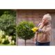 12. STANLEY STCSS20B-XJ Cordless Shears 20cm