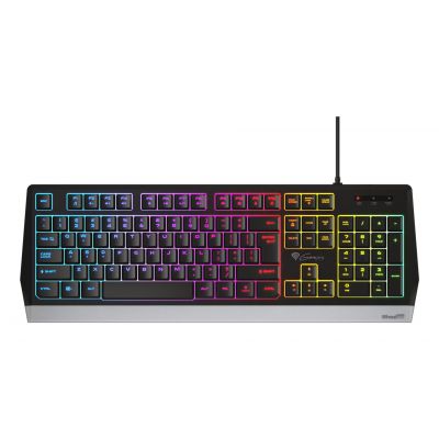 7. GENESIS GAMING KEYBOARD RHOD 300 RGB US NKG-1528