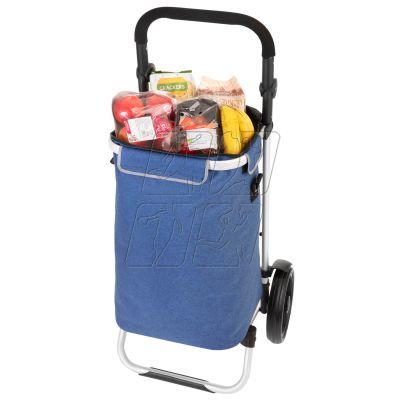 17. Allround Cruiser 650065 shopping trolley