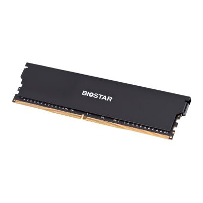 7. DDR4 Biostar 8GB 3200MHz Heatsink Storming Vseries memory