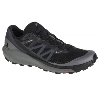 Salomon Sense Ride 4 GTX M 413071 shoes