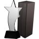 6. Glass trophy with case