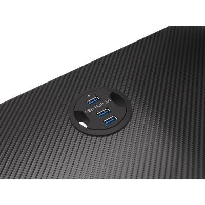 4. GENESIS HOLM 300 RGB GAMING DESK