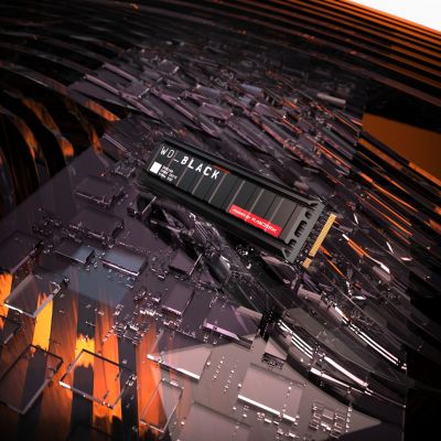 12. Western Digital Black SN8100 1TB M.2 PCI Express 5.0 NVMe TLC 3D NAND