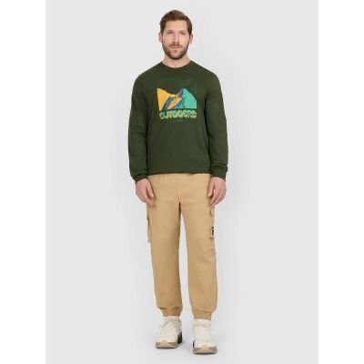 4. Men's casual cargo pants 4F 4FRAW25TTROM1690-83S