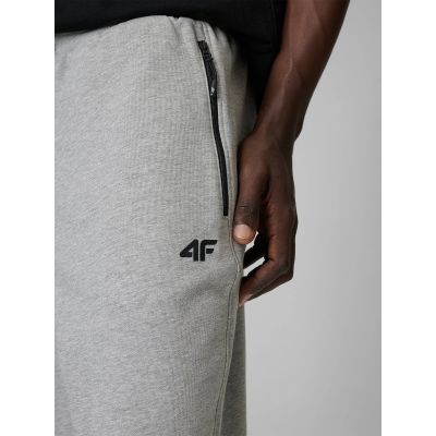 6. Men's jogger sweatpants 4F 4FRMM00TTROM2020-27M