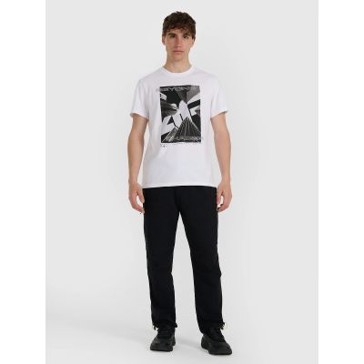 4. Men's T-shirt 4F 4FRAW25TTSHM3258-10S