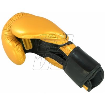3. Masters leather boxing gloves RBT-9 0109-0112