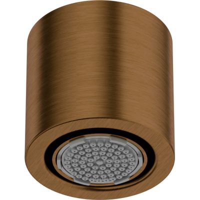 1-function shower head