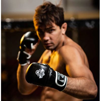 18. MMAsparring gloves L - Phantom White - Valor Series