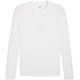 Men's Puma TeamGOAL Baselayer Tee Longsleeve T-Shirt, white, 658777 04
