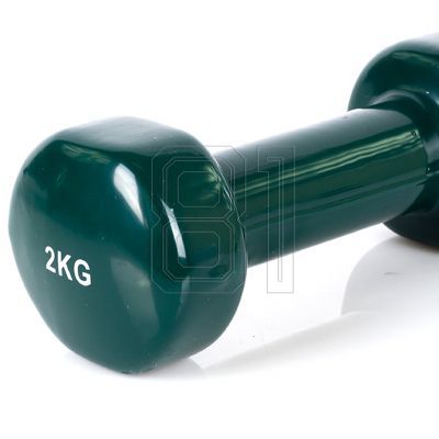 17. PROfit vinyl weight 0.5kg DK 4102