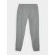 4. Men's quick-drying training pants 4F 4FWAW24TFTRM681-25M
