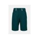 PEAK PERFORMANCE M Iconiq Mtb Shorts, green