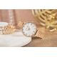 6. MICHAEL KORS Pyper MK4917 Women's Watch + BOX