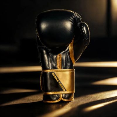 17. 10oz Boxing Gloves - Infinity - Origin Series