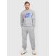 Men's jogger sweatpants 4F 4FRAW25TTROM1832-27M