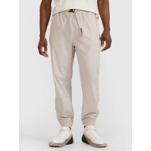 Men's casual trousers 4F 4FWSS25TTROM1001-83S