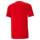 4. Puma Active Small Logo Tee M 586725 11