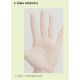 28. MOSQUITO NET WINDOW ROOF 140X170 WHITE POLYESTER + VELCRO TAPE