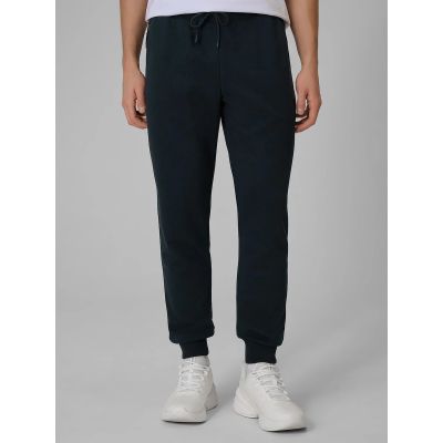 2. Men's jogger sweatpants 4F 4FRSS26TTROM1986-31S