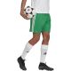 3. Adidas Squadra 21 Short M GN5769