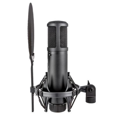 2. sE Electronics sE2200 Black Studio Microphone