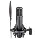 2. sE Electronics sE2200 Black Studio Microphone