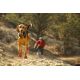 2. Ruffwear Grip Trex Dog Boots – Obsidian Black, Size L