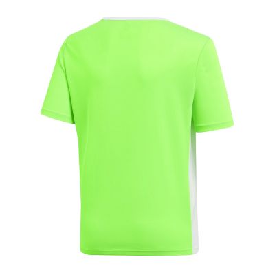 2. adidas Entrada 18 Jr T-shirt CE9755