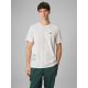 Men's regular printed T-shirt 4F 4FRSS26TTSHM3814-11S