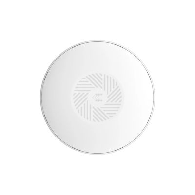Teltonika TAP200 WLAN Access Point 867 Mbit/s White PoE Support