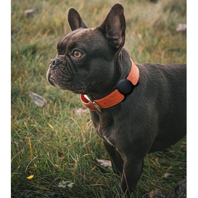 5. Apple AirTag Silicone Case for Dog or Cat Collar - Black