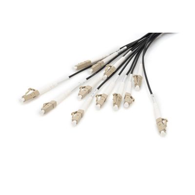 5. Digitus Factory-terminated universal fiber optic breakout cable, multimode OM4, 12 fibers, LC/UPC - LC/UPC
