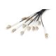 5. Digitus Factory-terminated universal fiber optic breakout cable, multimode OM4, 12 fibers, LC/UPC - LC/UPC