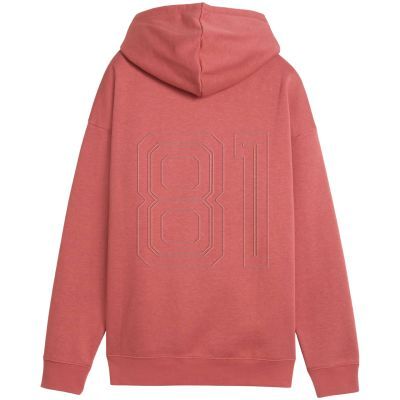 3. Puma ESS Relaxed Hoodie FL W 684976 60 sweatshirt