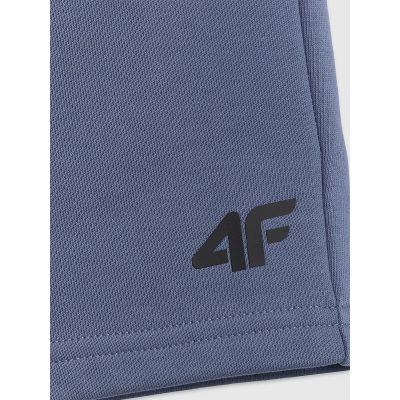 7. Men's sweatpants 4F 4FRSS26TSHOM0970-32S