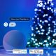 4. Twinkly Candies – 200 candle-shaped RGB LED lights, green cable, USB-C
