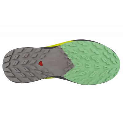 4. Salomon Sense Ride 5 M 471442 Running Shoes