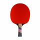 19. Conrilleau Excell Carbon 3000 Table Tennis Racket