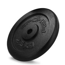 Cast iron weight 2.5kg Spokey Sinis SPK-944483